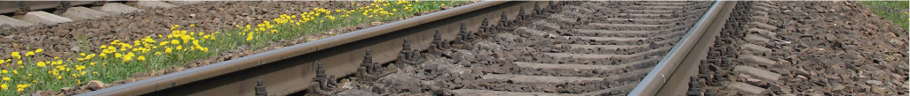 train-track
